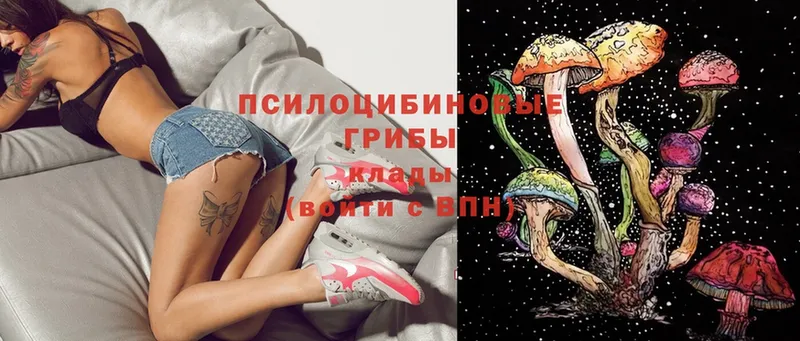 Псилоцибиновые грибы Magic Shrooms  Мамадыш 